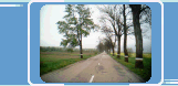 www.neman-online.info